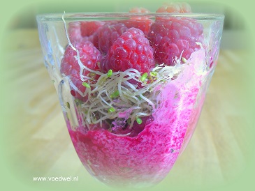 Voedwel, natuurlijk voedingsadvies, bietensalade met frambozen