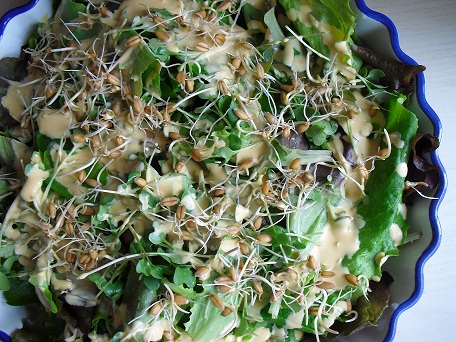 Voedwel, natuurlijk voedingsadvies, salade met kiemen