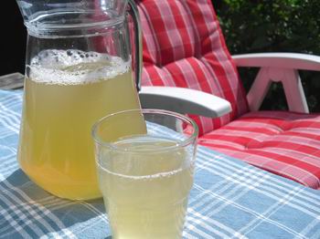 Voedwel, natuurlijk voedingsadvies, kookworkshop drankjes