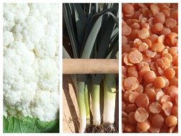 Voedwel, natuurlijk voedingsadvies, natuurvoedingskundige, recepten
