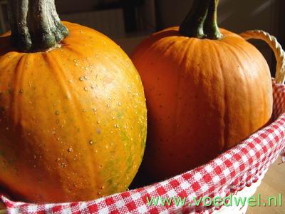 Voedwel, natuurlijk voedingsadvies, natuurvoedingskundige, Snackjack Cucurbita Pepo