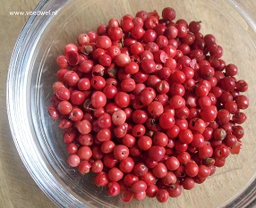 Voedwel, natuurlijk voedingsadvies, roze peper