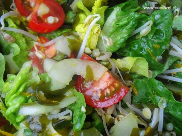 Voedwel, natuurlijk voedingsadvies, zeegroente salade