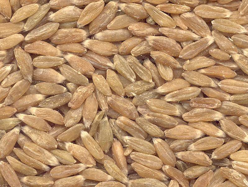 Groenespelt