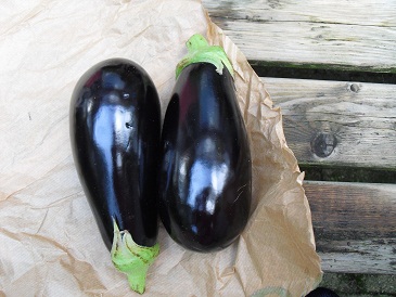 Voedwel, aubergines