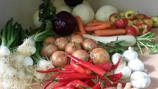 Voedwel, workshop groenten