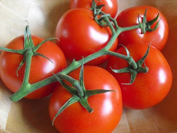 Voedwel, tomaten